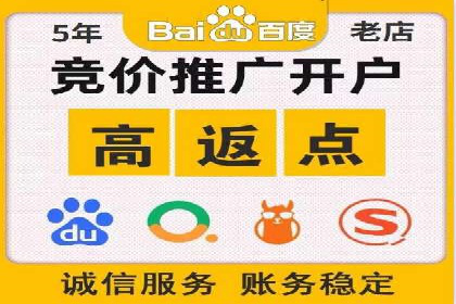 竞价推广策略：某电商平台的成功案例